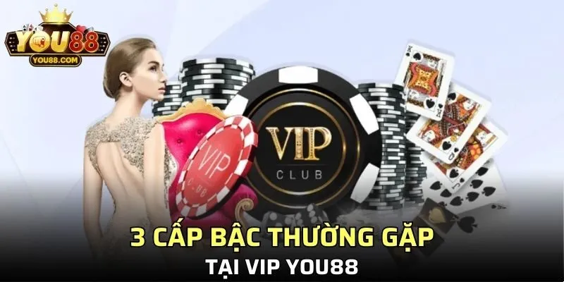3 cấp bậc thường gặp tại VIP YO88 