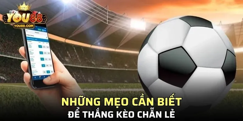 Những mẹo cần biết để thắng kèo chẵn lẻ 